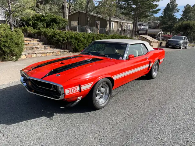 1970 Shelby GT 350