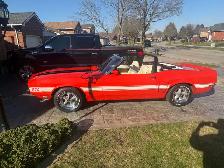 1970 Shelby GT 350 - Photo 3