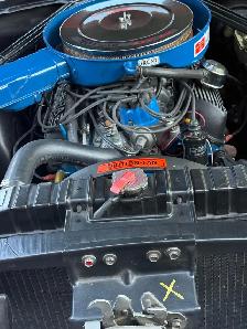1970 Shelby GT 350 - Photo 10