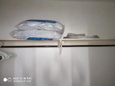 MASTER Bedroom for Rent in Etobicoke, Bright and Spacious - Photo 7
