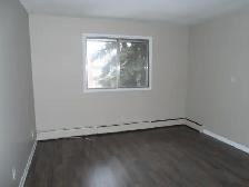 JUNE Free! A nice and cozy 1 bedroom suite on 104 str./77 ave. - Photo 2
