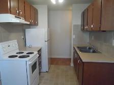 JUNE Free! A nice and cozy 1 bedroom suite on 104 str./77 ave. - Photo 3