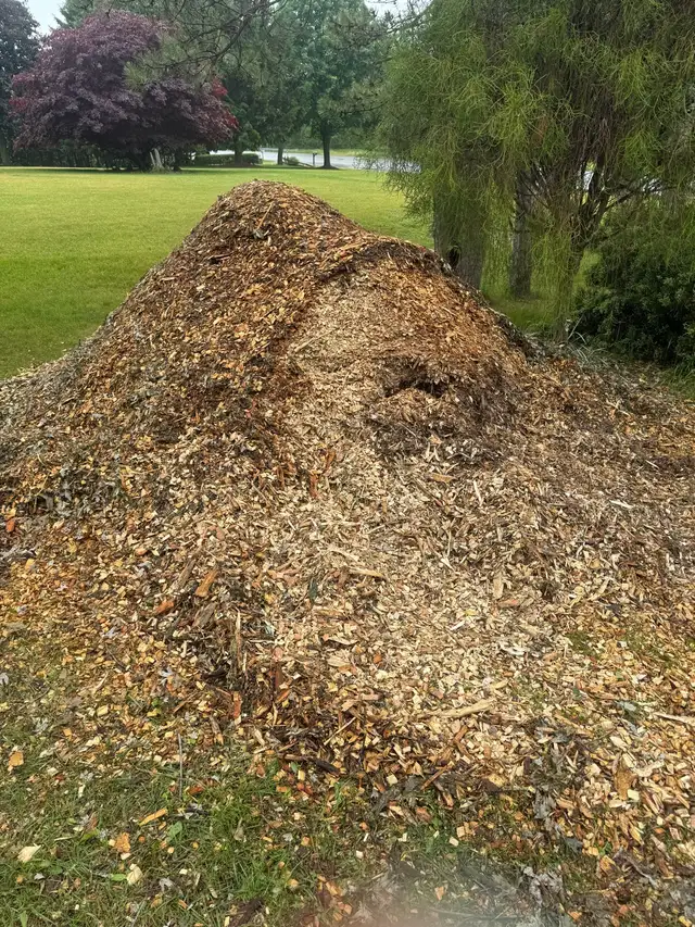 Free Mulch