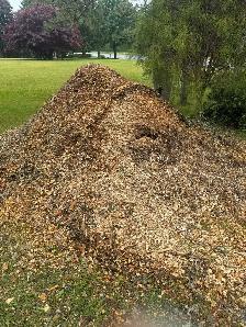 Free Mulch