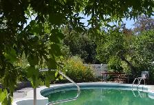 Private Awesome Eco King Treehouse with pool & hot tub! - Photo 3