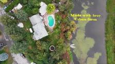 Private Awesome Eco King Treehouse with pool & hot tub! - Photo 4