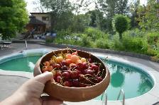 Private Awesome Eco King Treehouse with pool & hot tub! - Photo 5
