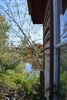 Private Awesome Eco King Treehouse with pool & hot tub! - Photo 8