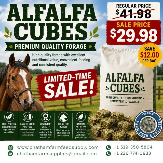 Organic Alfalfa Cubes
