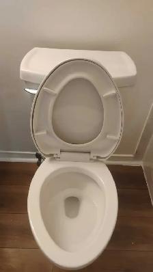 Pt Cleaner Needed Car is required $25.00 to start