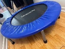 Mini trampoline d’exercice Serenelife avec barre de soutien - Photo 2