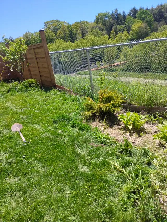 GARDENER AVAILABLE $20 HOUR