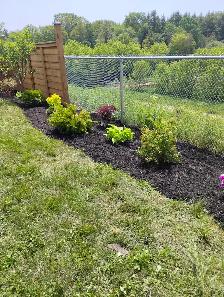 GARDENER AVAILABLE $20 HOUR - Photo 2