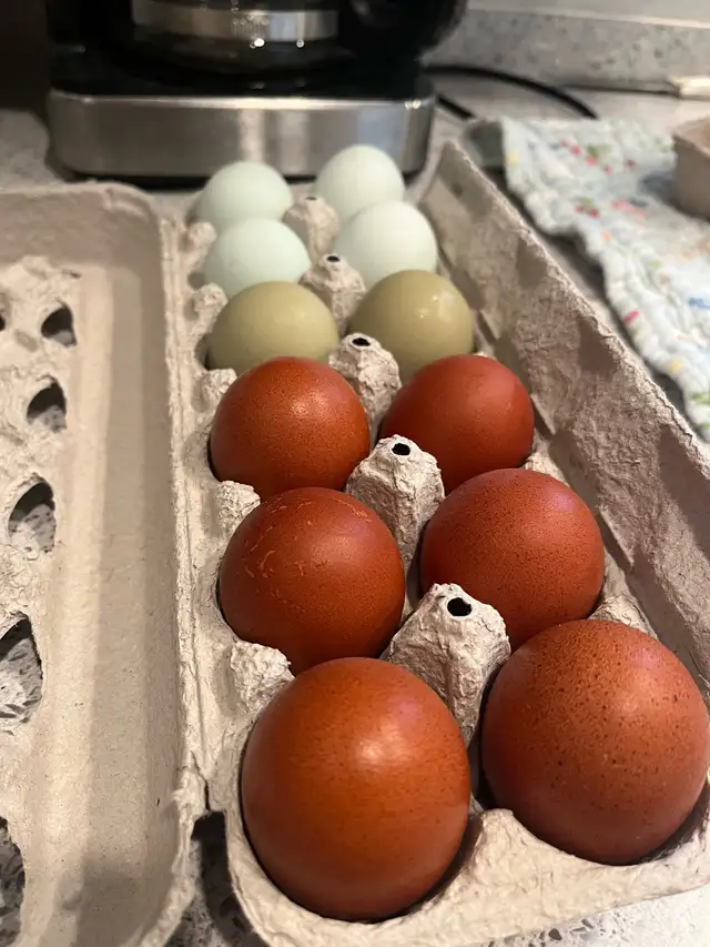 Organic, Non-GMO, Corn & Soy Free, Free Range, Fresh Eggs