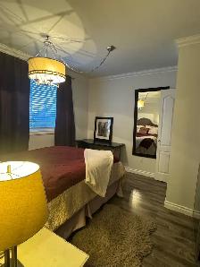 CHIC, CLASSY, FULLY-FURNISHED, ONE-BEDROOM FLAT IN CENTRAL YEG