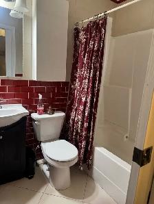 CHIC, CLASSY, FULLY-FURNISHED, ONE-BEDROOM FLAT IN CENTRAL YEG - Photo 7