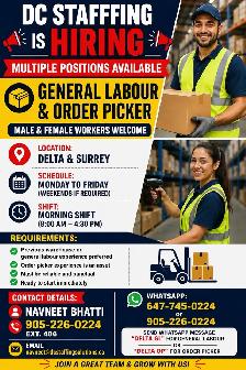 Hiring Order Picker forklift Operators and General Labors