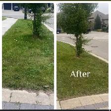 lawn care - Photo 3