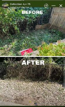 lawn care - Photo 4