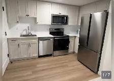 Brand New 1 Bed Basement Unit for Rent in Rosemont Area