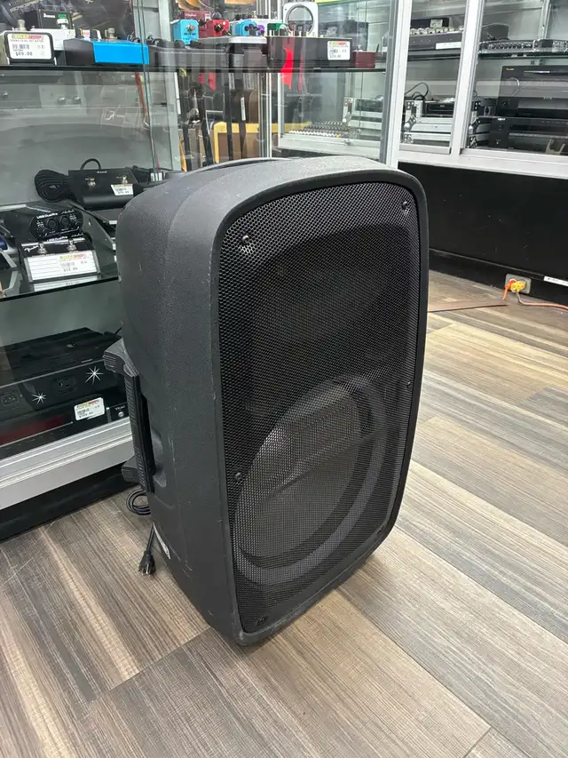 Ion Total Flow Max BT Speaker