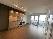 M3—New condo for rent