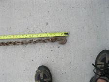 J Hook Tow Chain and extra chain - Photo 7