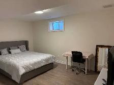 Furnished Luxury Newly Renovated Apartment for Rent - Only $ 900