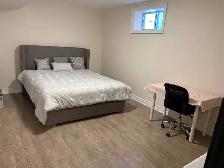 Furnished Luxury Newly Renovated Apartment for Rent - Only $ 900 - Photo 2