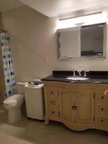 Furnished Luxury Newly Renovated Apartment for Rent - Only $ 900 - Photo 6