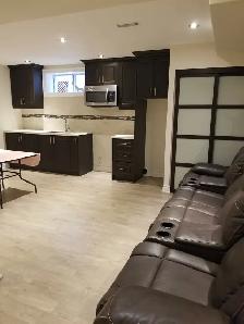 Furnished Luxury Newly Renovated Apartment for Rent - Only $ 900 - Photo 11