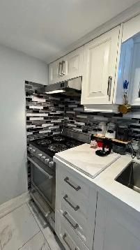 Gorgeous 1 bedroom basement apt - Photo 4