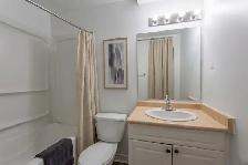 Two Bedroom Apartment- Old South /Vintage and Original - Photo 4