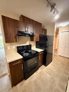 1226-201 Abasand Drive - Photo 3