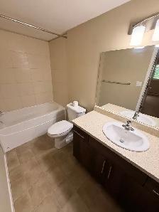 1226-201 Abasand Drive - Photo 8