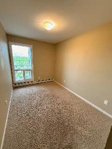 1226-201 Abasand Drive - Photo 9