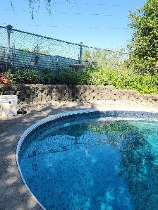 All Your Gardening and Yard Work Needs - Photo 3
