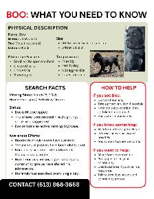 Missing Dog - Photo 4