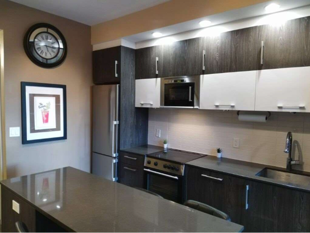 Modern Furnished Studio Bachelor in Downtown Ottawa - FOR RENT