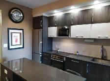 Modern Furnished Studio Bachelor in Downtown Ottawa - FOR RENT - Photo 9