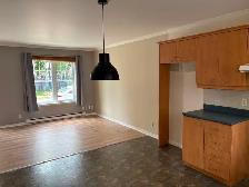1ER JUILLET- CENTRE VILLE JOLIETTE- SPLENDIDE 4 1-2 MAISON VILLE - Photo 3