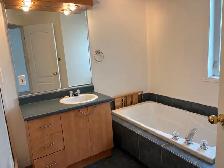 1ER JUILLET- CENTRE VILLE JOLIETTE- SPLENDIDE 4 1-2 MAISON VILLE - Photo 9