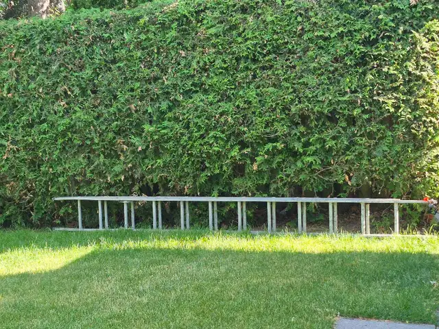 Ladder-24' extension