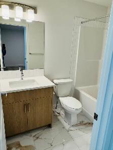 Beautiful New Home for Rent - Photo 9