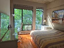 3 1/2 Old Port Montreal - Vieux Port (One Bedroom) - Photo 4