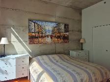 3 1/2 Old Port Montreal - Vieux Port (One Bedroom) - Photo 12