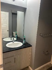 Modern 1-Bedroom Basement Suite for Rent- Bonavista, Winnipeg - Photo 5