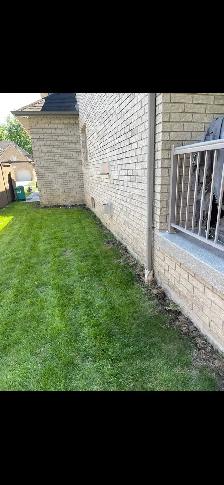 LAWN CARE - Photo 2
