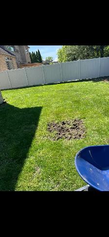 LAWN CARE - Photo 3