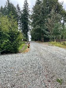 RV pad for rent on acreage - Photo 2